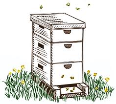 Bee Hive